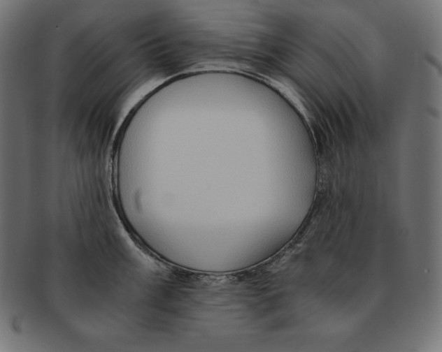 X0000091681003200709201235