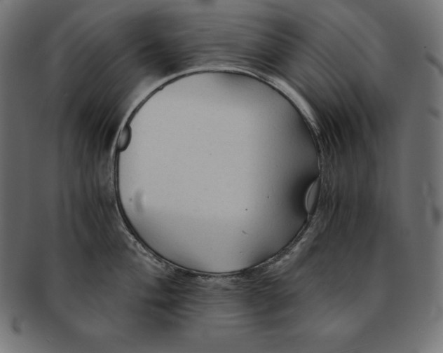 X0000091681004200709201235