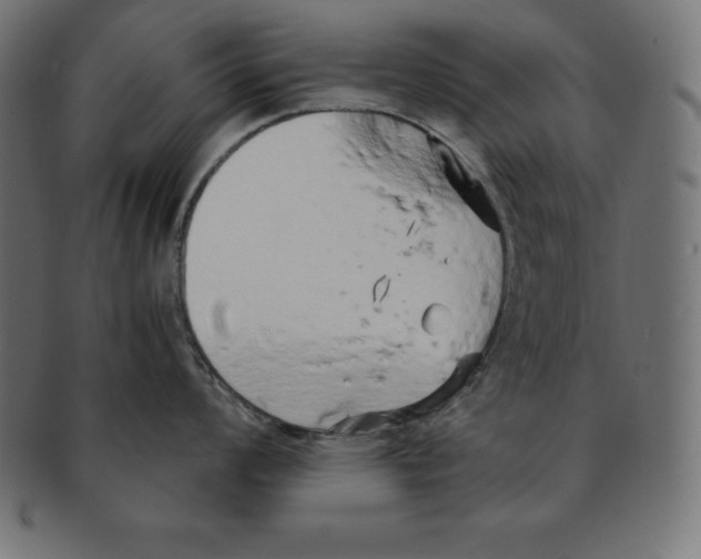 X0000091681008200709201235