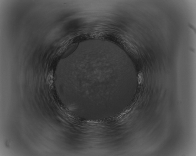 X0000091681011200709201234