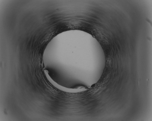 X0000091681012200709201234