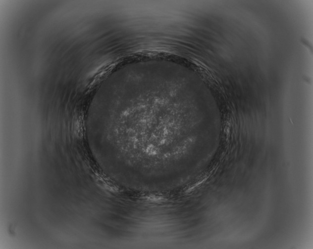 X0000091681014200709201234