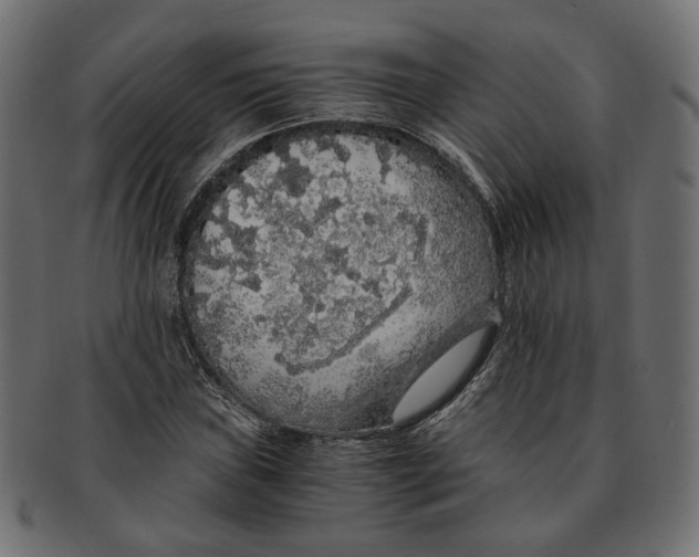 X0000091681019200709201235