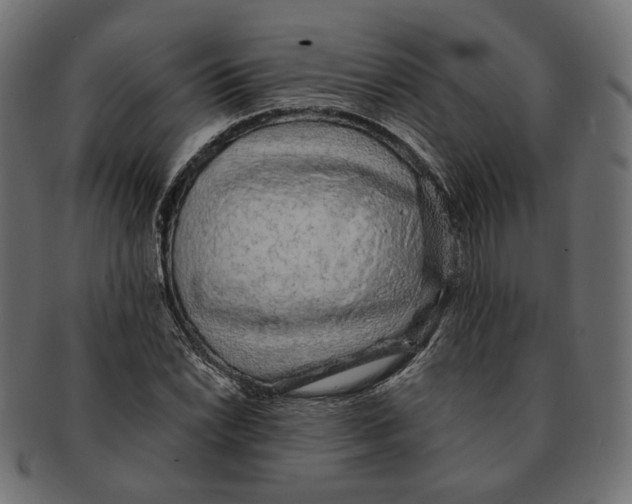 X0000091681022200709201235