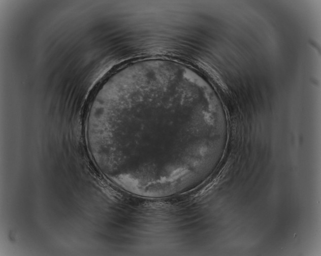 X0000091681023200709201235