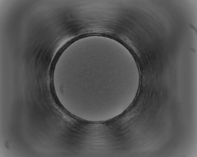 X0000091681024200709201235