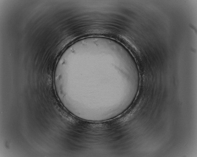 X0000091681025200709201235