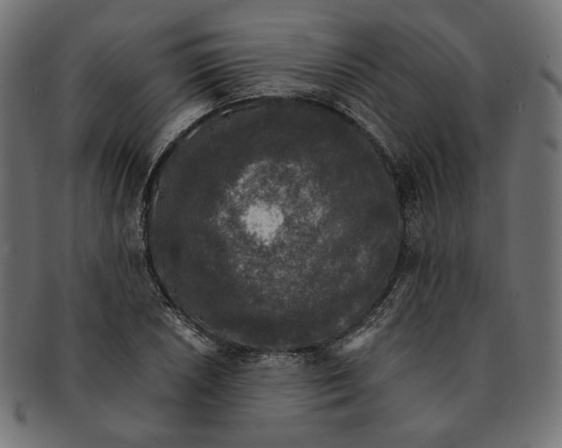 X0000091681026200709201235