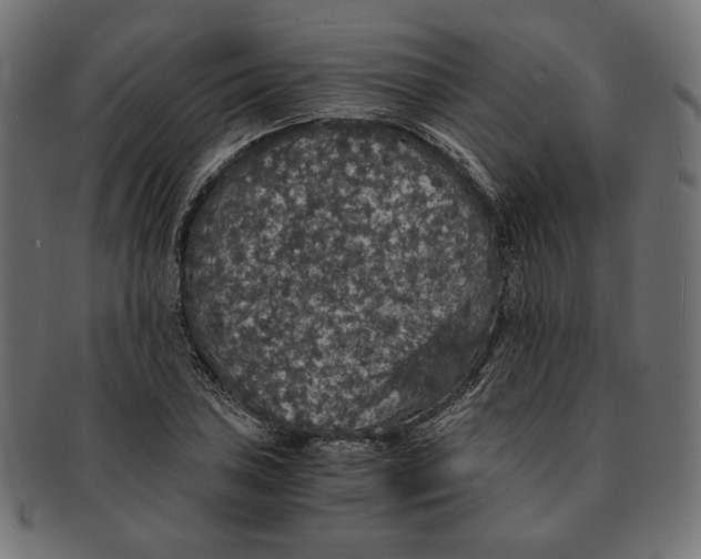 X0000091681027200709201235