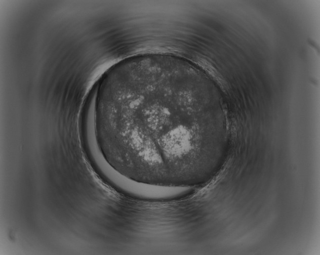 X0000091681030200709201235