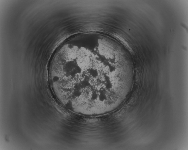 X0000091681031200709201235