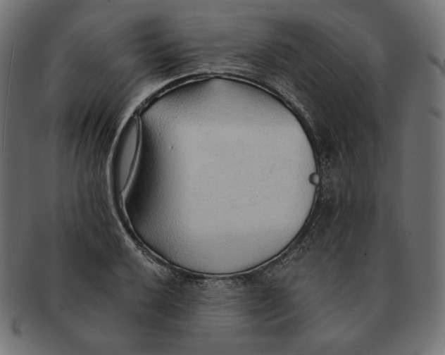 X0000091681032200709201235