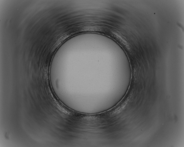 X0000091681033200709201235