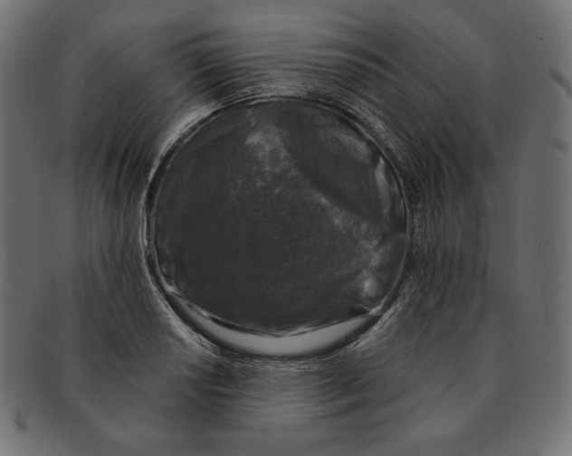 X0000091681034200709201235