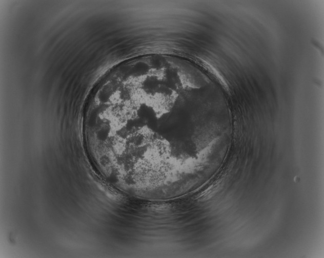 X0000091681035200709201235