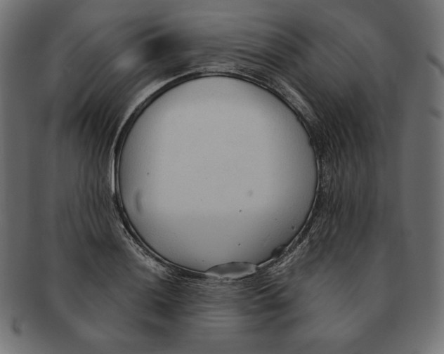 X0000091681036200709201235