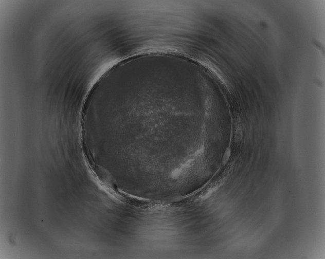 X0000091681038200709201235