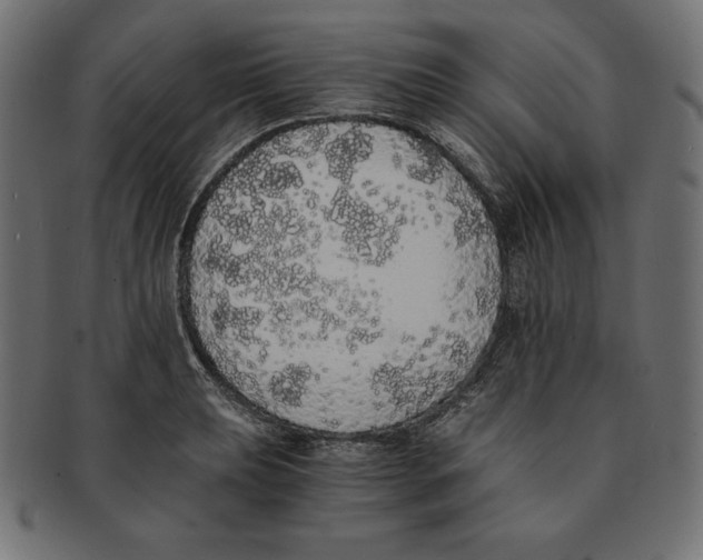 X0000091681039200709201235