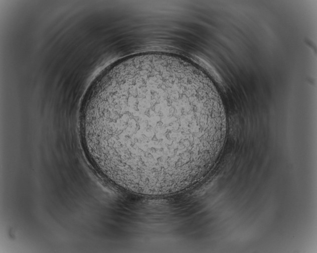 X0000091681043200709201235