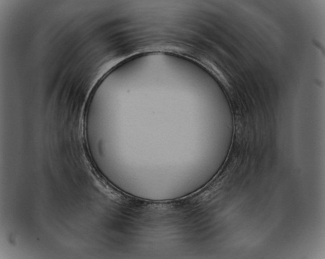 X0000091681044200709201235