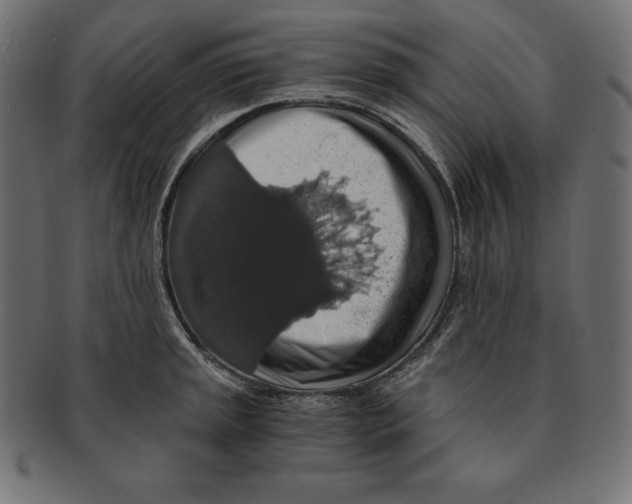 X0000091681045200709201235