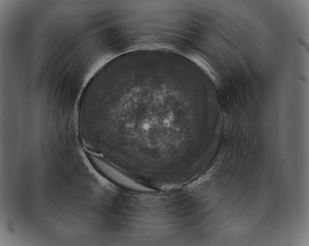 X0000091681046200709201235