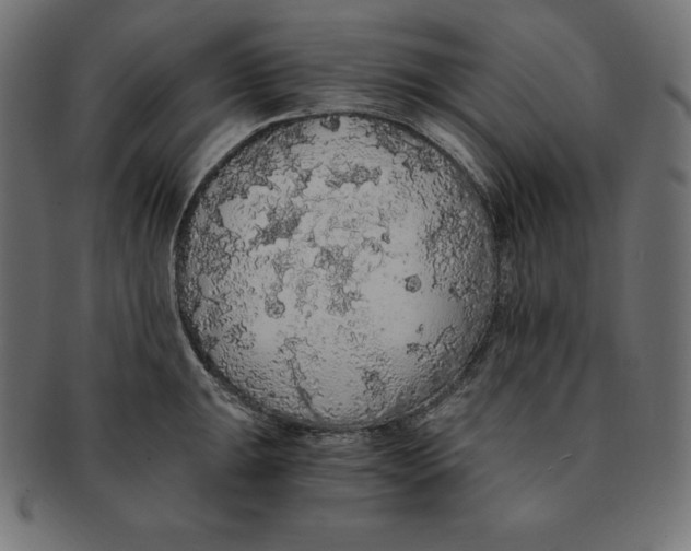 X0000091681047200709201235