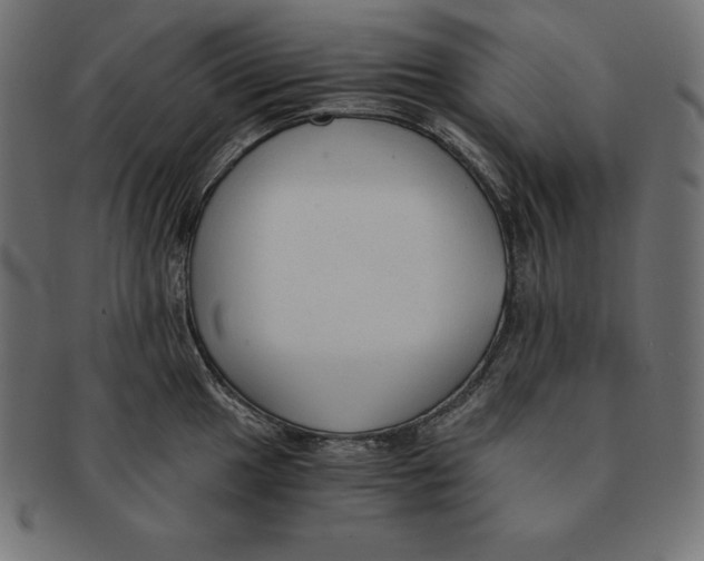 X0000091681049200709201235