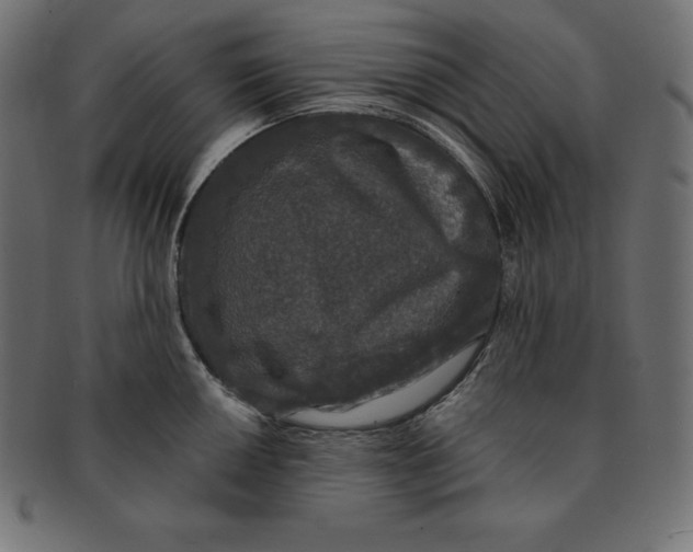 X0000091681050200709201235