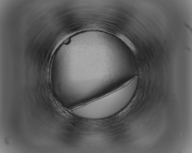 X0000091681052200709201235