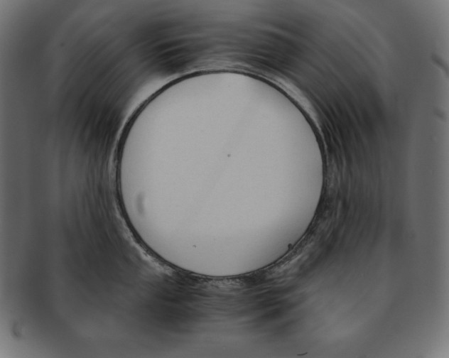 X0000091681053200709201235