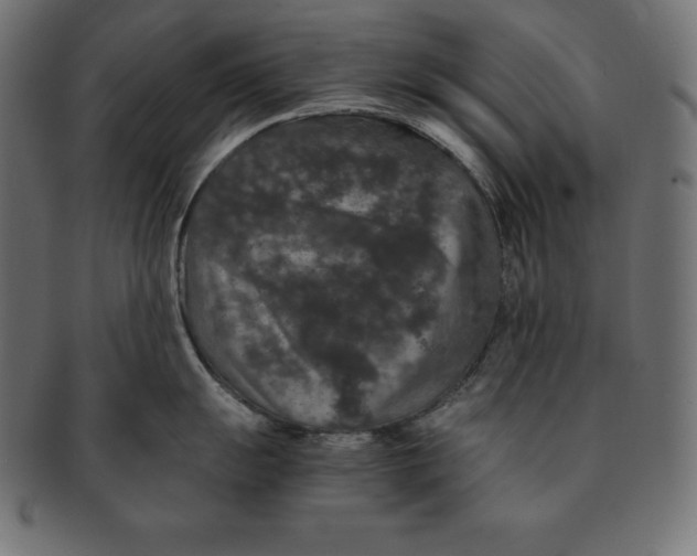 X0000091681055200709201235