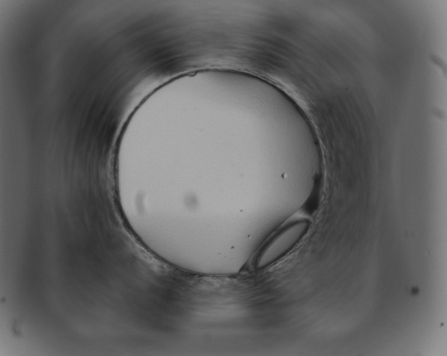 X0000091681056200709201235