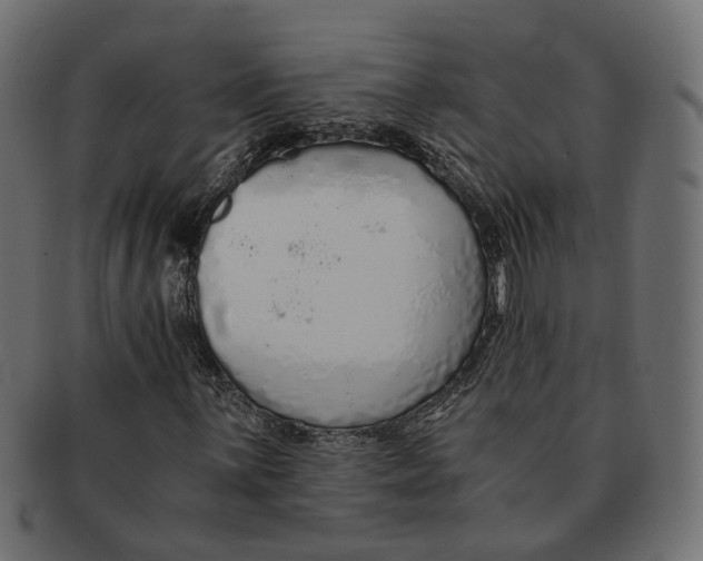 X0000091681059200709201234