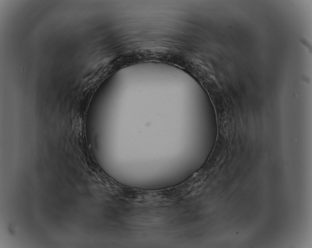 X0000091681061200709201234