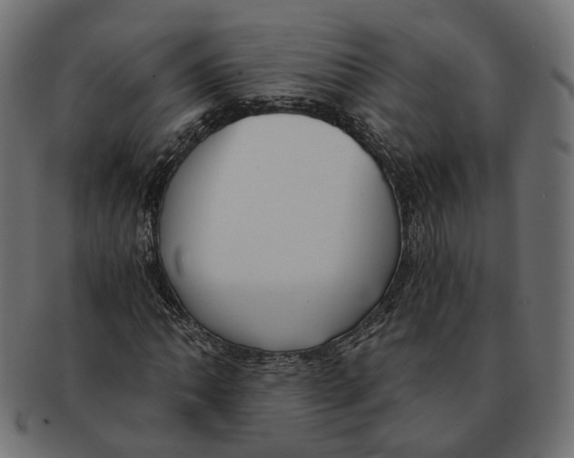 X0000091681062200709201234