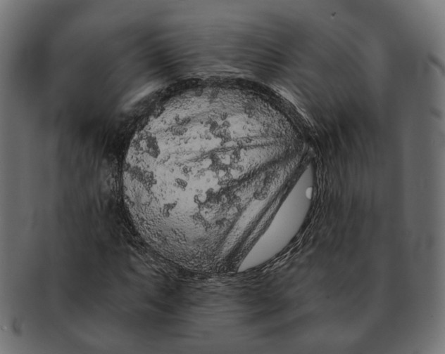 X0000091681063200709201234