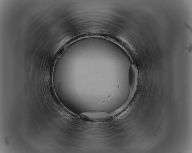 X0000091681065200709201234