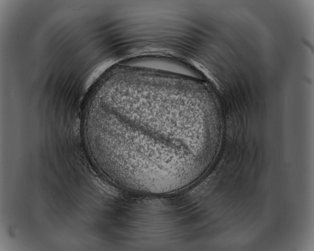 X0000091681066200709201234