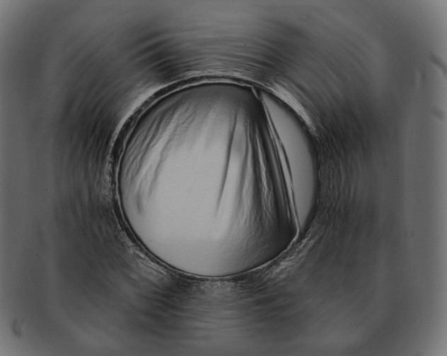 X0000091681068200709201234