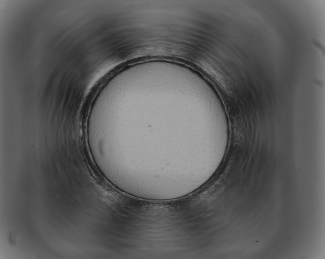 X0000091681070200709201234