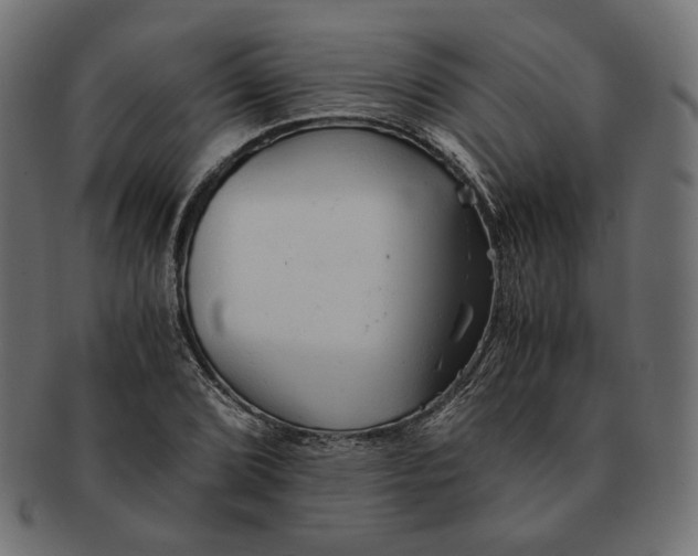 X0000091681072200709201234