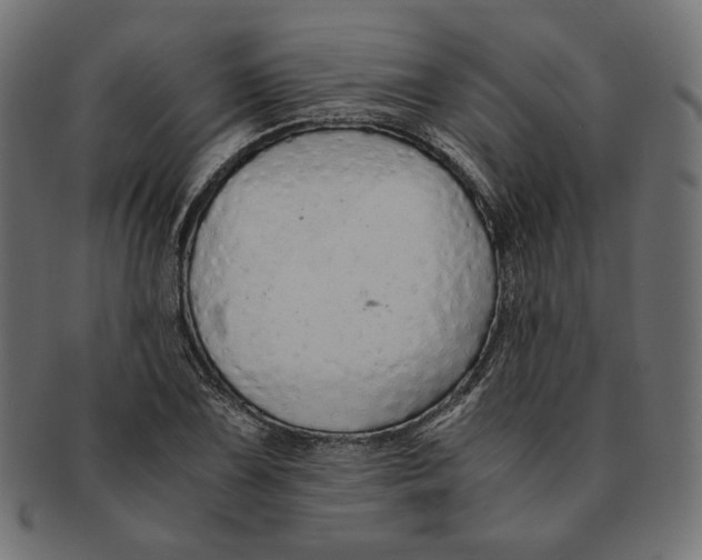 X0000091681075200709201234