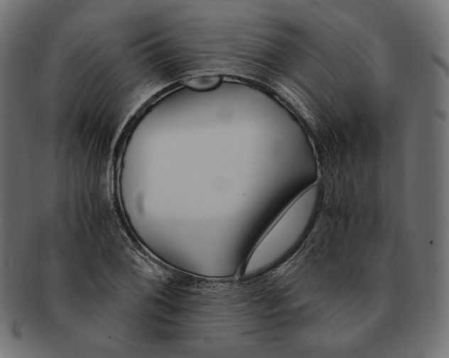 X0000091681076200709201234