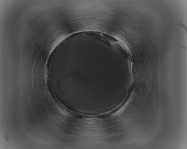 X0000091681077200709201234