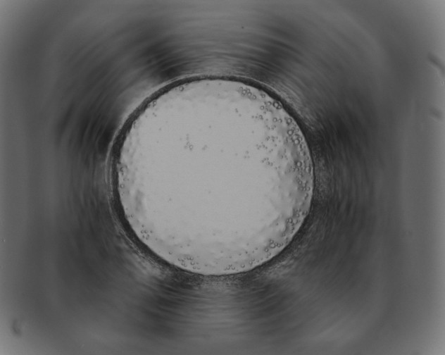 X0000091681078200709201234