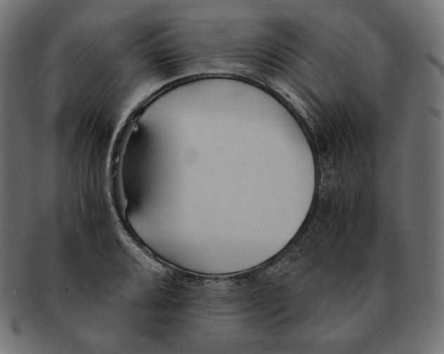 X0000091681080200709201234