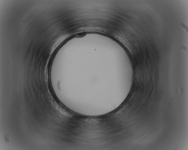 X0000091681082200709201234