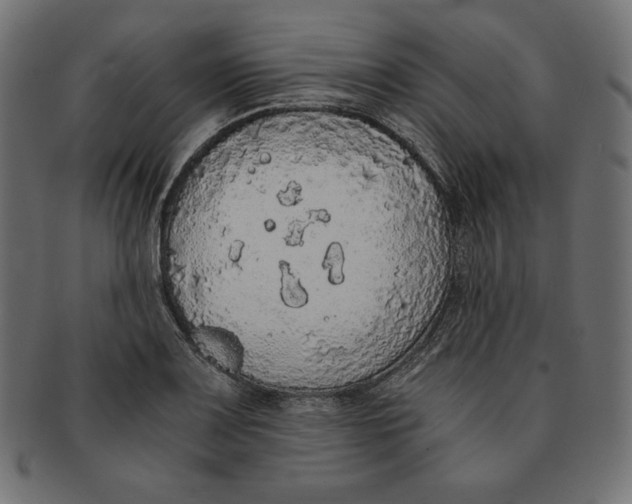 X0000091681083200709201234