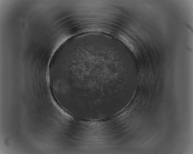 X0000091681084200709201234